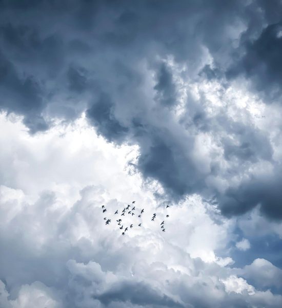 Amenazas en Alcalá de Henares